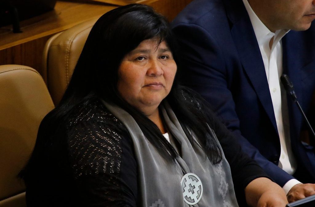 Nuevo reglamento sobre transgénicos: Diputada Nuyado pide suspender proceso de consulta ciudadana por crisis sanitaria