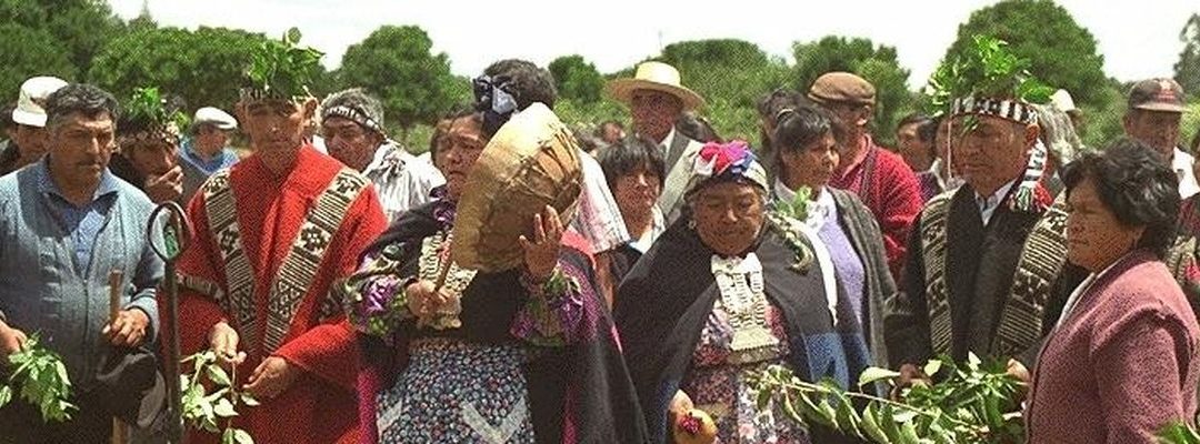 Territorio Mapuche Pehuenche registra mayor cantidad de contagios por habitantes en Biobío