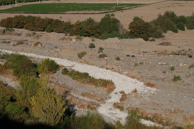 Activista de Petorca denuncia ante la ONU la omisión del Estado en garantizar acceso al agua y saneamiento para zonas de escasez hídrica