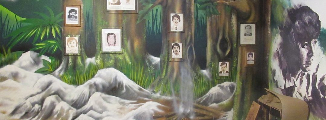 Ciclos de Memoria Inquieta: Neltume 2020