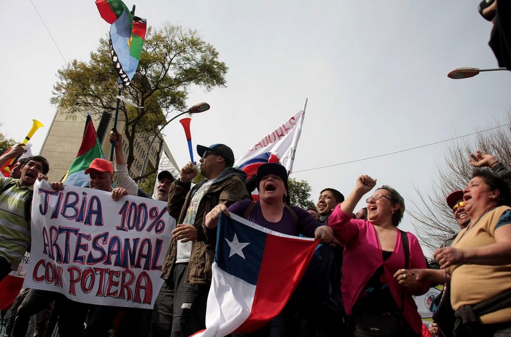 Triunfo para el sector artesanal: TC rechaza recurso de pesquera industrial contra “Ley de la Jibia”
