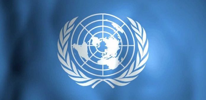 ONU pide investigar violencia contra el pueblo Mapuche