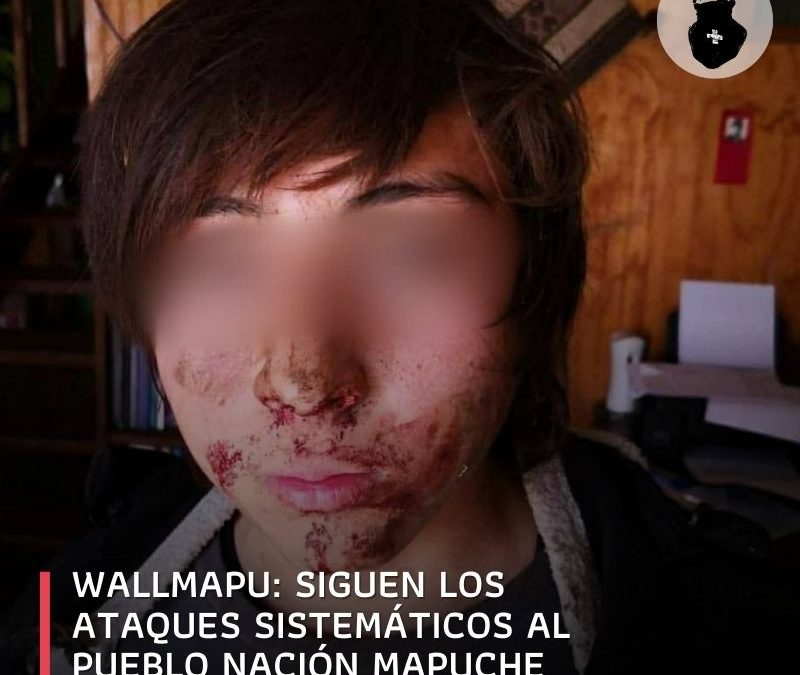 Wallmapu: siguen los ataques sistemáticos al pueblo nación Mapuche